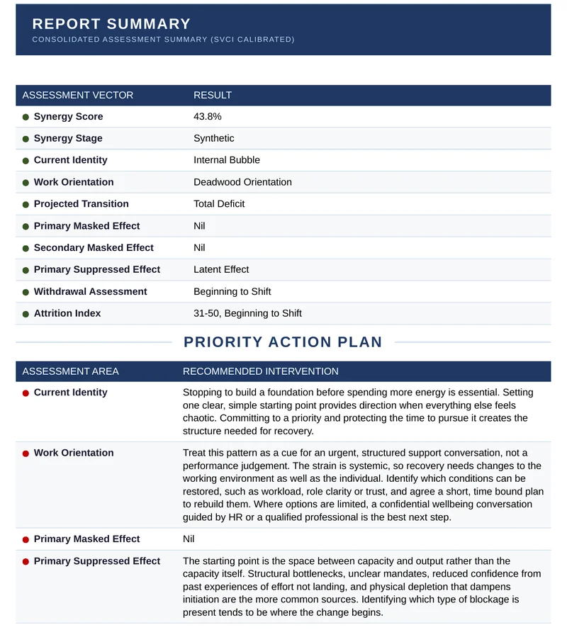 P-SAP sample report page: Report Summary and Priority Action Plan listing the recommended interventions
