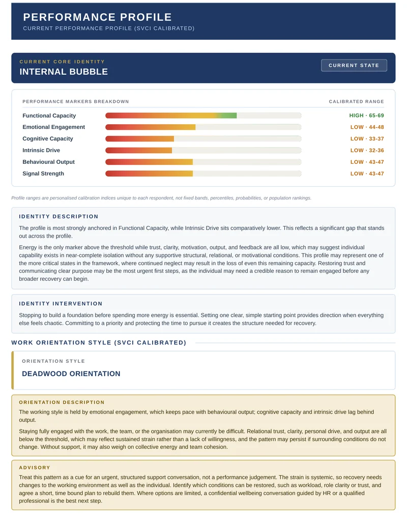 P-SAP sample report page: Performance Profile with the six marker breakdown, identity description and work orientation style