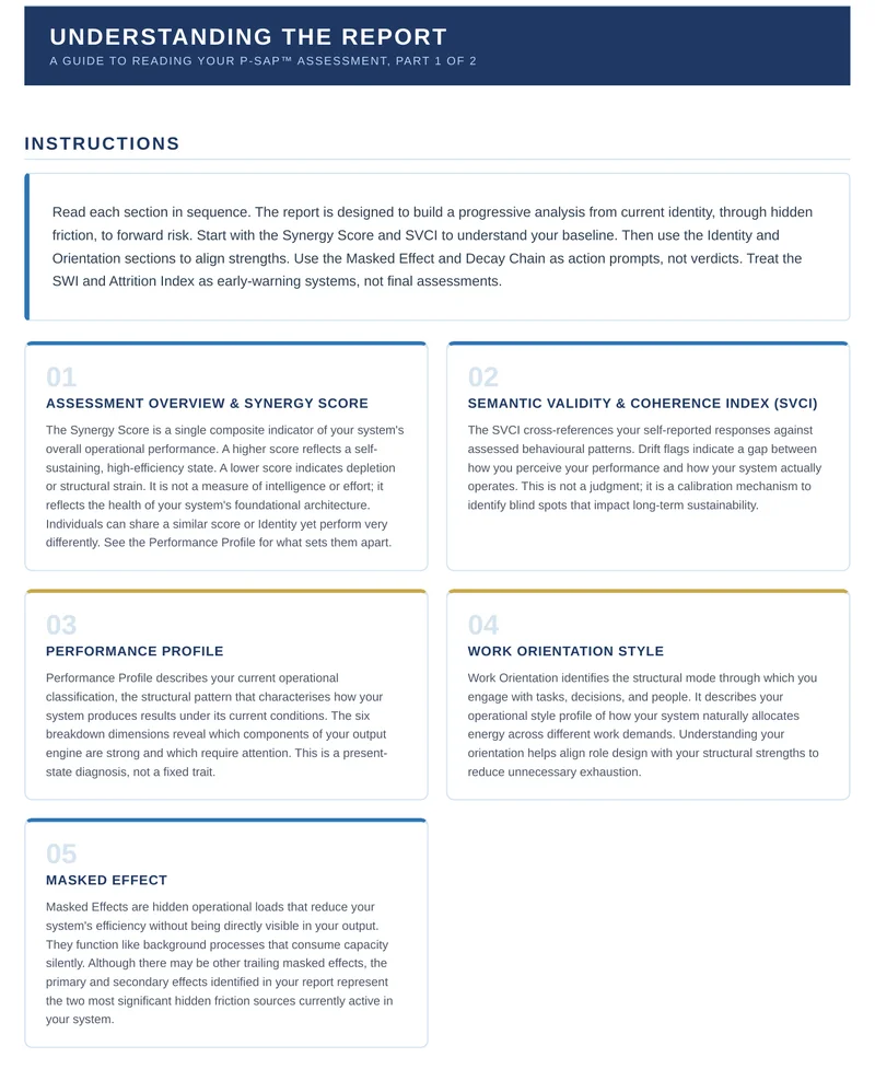 P-SAP sample report page: Understanding the Report, a guide to reading each section of the assessment